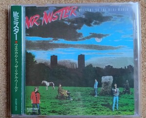 【国内盤CD】Mr.ミスター / ウェルカム・トゥ・ザ・リアル・ワールド WELCOME TO THE REAL WORLD 帯付