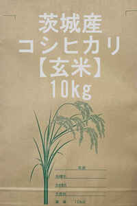 令和６年 茨城県産 新米 コシヒカリ （玄米） 10Kg