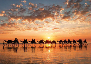  Educa 18492 1000ピース ジグソーパズル ブルームの黄昏 GOLDEN SUNSET ON CABLE BEACH, AUSTRALIA