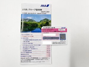 ANA 全日空 株主優待券 1枚 有効期限2025年5月31日 番号通知 コード通知/発送対応可能 グループ優待券冊子2024年上期分