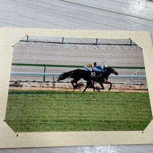 競馬 優勝 写真 ダイナース愛馬会 スタニングブロー