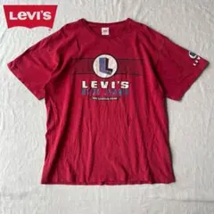 【希少】Vintage LEVIS リーバイス ボロ古着 Tシャツ 雰囲気◎ L