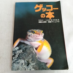 R611 ゲッコーの本 ヤモリ トカゲモドキたち 図鑑&飼育 繁殖 マニュアル 初版 2000年 1月 本 雑誌 