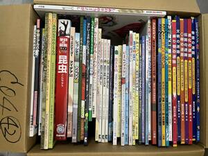 C04【中古絵本セット　送料無料】　42冊　迷路シリーズ　伝説の迷路　カロリーヌ　昆虫　福音館　レゴシティ　まちがいさがし　他