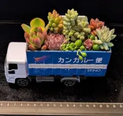 011002多肉植物の寄せ植え★車作品★カンガルー便★テーブル多肉