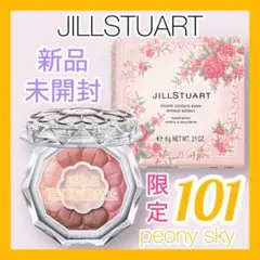 ⑮JILLSTUART ブルームクチュールアイズ リミテッドエディション 101