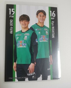 FC岐阜 2023 配布カード 上野輝人　西谷亮　6/2 対FC琉球　東京ヴェルディ　東京ヴェルディ1969 読売ヴェルディ