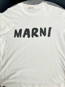 マルニ　Tシャツ 42サイズ