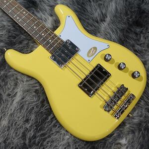 Epiphone ＜エピフォン＞ Newport Bass Sunset Yellow