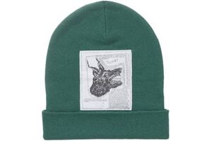 Supreme The North Face Beanie シュプリーム ザノースフェイス ビーニー ニット帽 ニットキャップ ロゴ コラボ green グリーン 緑 moss 