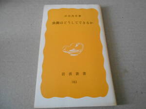 ◎虫歯はどうしてできるのか　浜田茂幸著　岩波新書　岩波書店　1982年発行　第１刷　中古　同梱歓迎　送料185円　