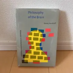 Philosophy of the Brain