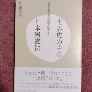 世界史の中の日本国憲法　立憲主義の史的展開を踏まえて 佐藤幸治／著