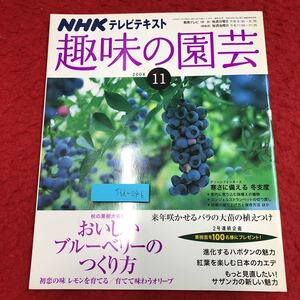 S6i-046 NHK 趣味の園芸 2008年11月号 ブルーベリー レモン オリーブ 2008年11月1日 発行 日本放送出版協会 雑誌 園芸 果樹 バラ ハボタン