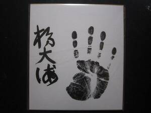 大相撲　栃大海　新十両　手形　サイン　459