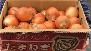 淡路島産 あわじのたまねぎ 玉葱 Lサイズ以上 10kg (約32個)