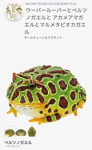 ネイチャーテクニカラー ベルツノガエル マグネット カエル かえる 蛙 爬虫類 動物 生物 フィギュア いきもん 新品未開封