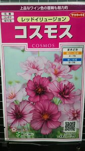 ３袋セット コスモス レッドイリュージョン 秋桜 種 郵便は送料無料