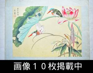 日本画 逸雲作 カワセミ 翡翠 絹本 掛軸切り離し 49.5cm×37.5cm 古美術 画像10枚掲載中