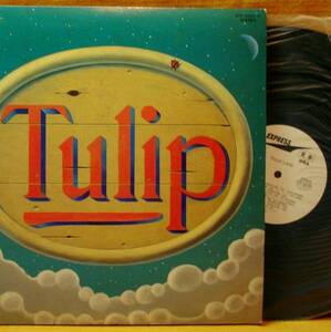 ＜見本盤＞チューリップ『TULIP LAND』2LP～ランド/財津和夫/和モノ/にほ