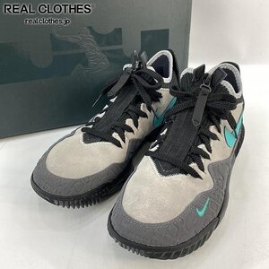 ATMOS×NIKE/アトモス×ナイキ LEBRON XVI LOW AC Clear Jade レブロン16 クリアジェイド CD9471-003/26 /080