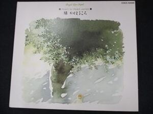 423＃中古CD 天使が巻いたオルゴール ～緑かほるころ