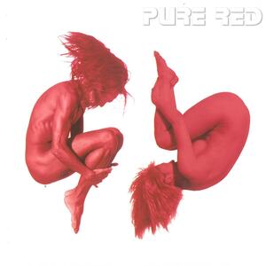 藤井フミヤ / PURE RED CD