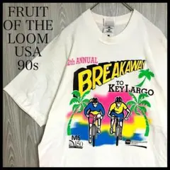 Z754フルーツオブザルーム半袖Tシャツビッグプリント90sビンテージUSA製