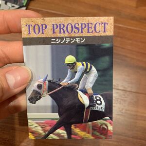 エポックEPOCH HORSE COLLECTION TOP PROSPECT153ニシノテンモン