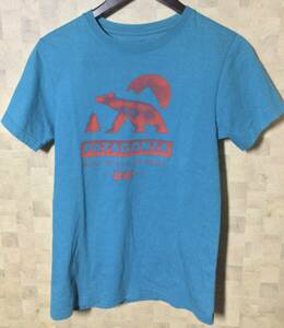 パタゴニア Patagonia ムーン　ベアー　Tシャツ オーガニックコットン　アウトドア　くま　熊　クマ　2014