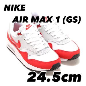 NIKE AIR MAX 1 (GS) ナイキ エア マックス 1 GS NEUTRAL GREY/UNIVERSITY RED-WHITE-BLACK DZ3307-003 24.5cm