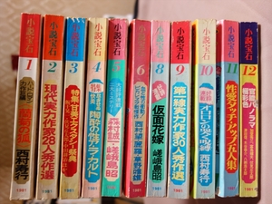 小説宝石 1981年 11冊セット 昭和56年 光文社