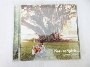 SH7517【CD】押尾コータロー ネイチャー・スピリット/ Kotaro Oshio Nature Spirit★SECL 578 SECL-578 SME RECORD★ギタリスト★良品