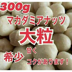 大粒　マカダミアナッツ　300g 素焼き　無塩　健康　美容　送料無料　ナッツ