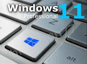 【即対応】windows 11 pro プロダクトキー 正規 64bit サポート付き ★ 新規インストール/HOMEからアップグレード対応