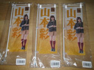 3個セット NMB48 Team N 山本彩 推しミニノボリクリップ　ミニのぼり　送¥350～