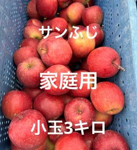 サンふじ　家庭用小玉3キロ　信州飯綱産　葉とらずりんご