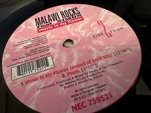 12”★Malawi Rocks Feat. Simon / Music Is My Flower / ハウス！