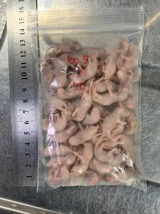 Ω国産冷凍マウス、ピンクS 50匹セットΩ