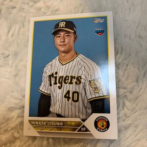 ★お勧め！TOPPS 阪神タイガースNPB 井坪陽生★Topps