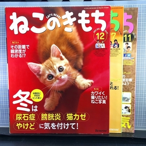 ○【3冊まとめてセット】「ねこのきもち」31・38・102(2007年12月/2008年7月/2013年11月)猫がかかりやすい病気/長生きetc【ネコ】