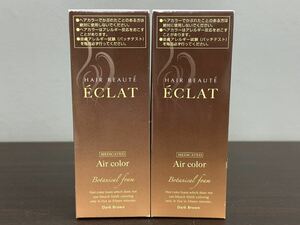 未開封品 ヘアボーテ エクラ ボタニカル エアカラーフォーム ダークブラウン 80g 2本セット