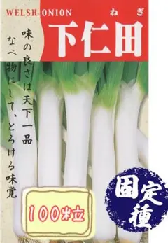 野菜の種【ネギ】下仁田ねぎ