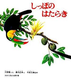 しっぽのはたらき かがくのとも傑作集/川田健【著】