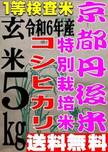 【送料無料 一等検査米 特別栽培米】 令和6年産 京都 丹後 コシヒカリ 玄米 5kg