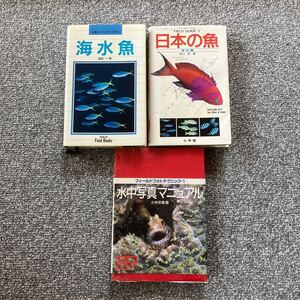 山渓フィールドブックス 海水魚 フィールドガイド 日本の魚 水中写真マニュアル 3冊セット 益田一 田口哲 小林安雅 山と渓谷社 小学館