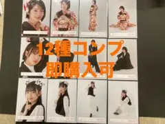 小島凪紗　櫻坂46 振袖　年末衣装　いぬみみ　生写真　12種コンプ