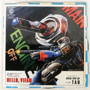 国内盤 タオ/HELLO, VIFAM/WARNER BROS. K1526 □