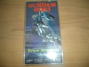 激レア　CDS GUMDAM0083 True Shining CDケース付き　即決！