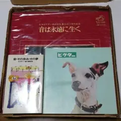 ★大幅値下げ！昭和レトロ!レコードブー厶！日本ビクター40周年記念特別レコード